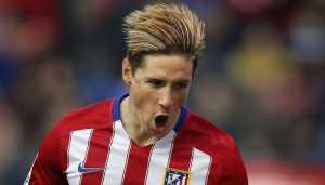 fernando torres