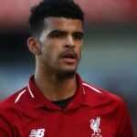 domik solanke