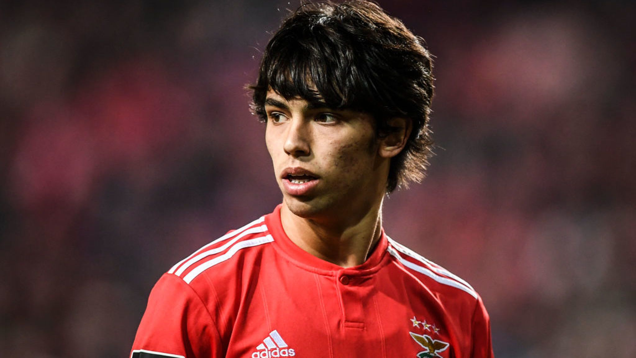 Benfica Rubbish Atletico Madrid Transfer For Joao Felix - 234sport